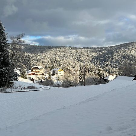 Boutique Hotel And Apartments Pension Sternen Todtmoos Exterior photo