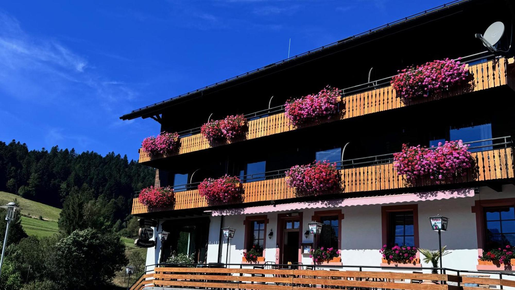 Boutique Hotel And Apartments Pension Sternen Todtmoos Exterior photo